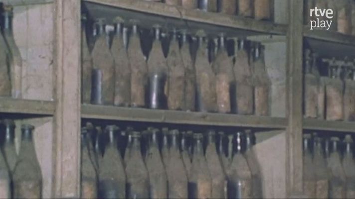 Protagonista el vino - El caballo y el vino
