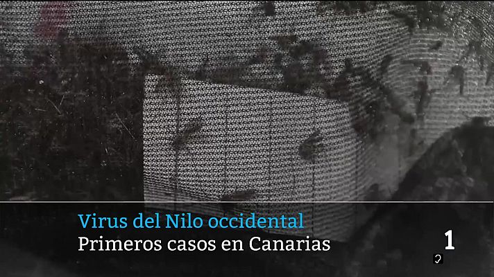 Telecanarias - Telecanarias - 20/08/2026