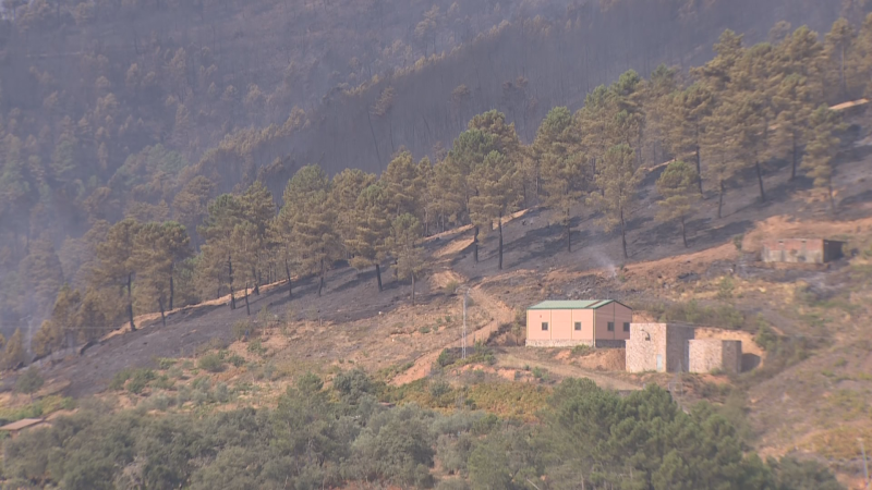 Paco Castañares reflexiona sobre la prevención de incendios - Ver ahora