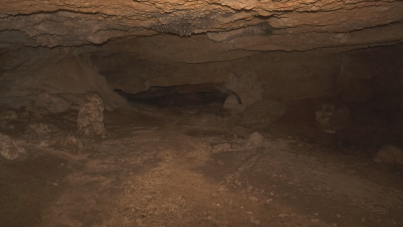 Interior de cueva con formaciones rocosas rugosas, estalactitas y estalagmitas. Iluminación tenue resalta texturas y sombras. Tonos terrosos predominantes.