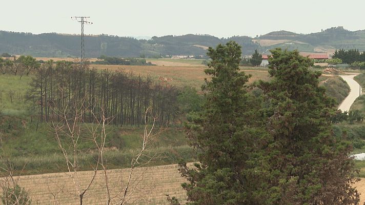 Telenavarra - Incendio de Urzainqui y proyecto de reforestación en Legarda