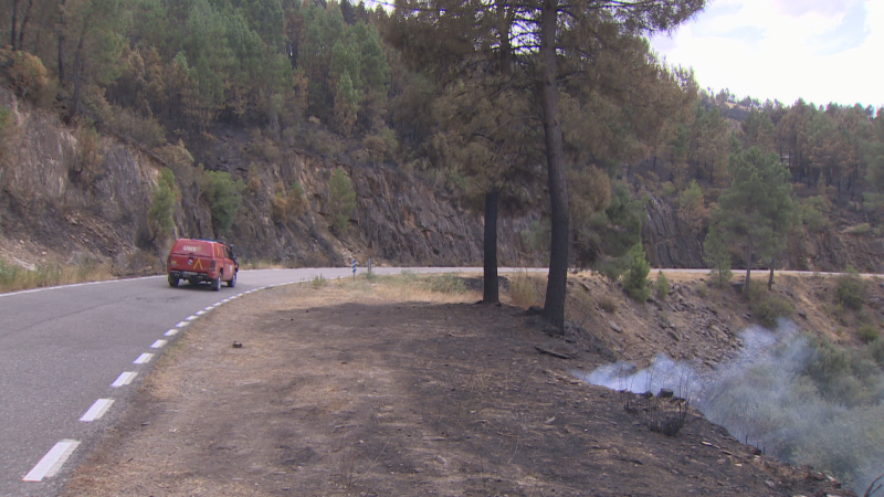 Evolución favorable en el incendio de Las Hurdes - Noticias de Extremadura | Ver