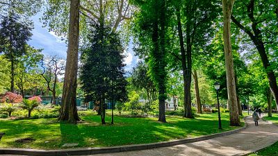 Parque urbano con c�sped verde, �rboles frondosos y un camino por donde camina una persona. Al fondo se aprecian edificaciones.