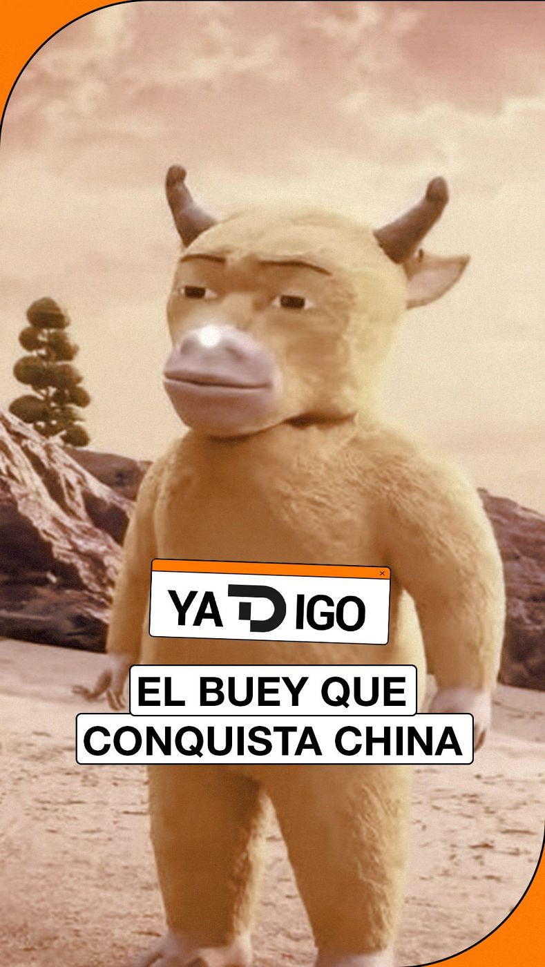 YaTDigo: El buey que conquista China - 22/08/26 - YaTDigo | Ver