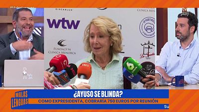 Programa 393