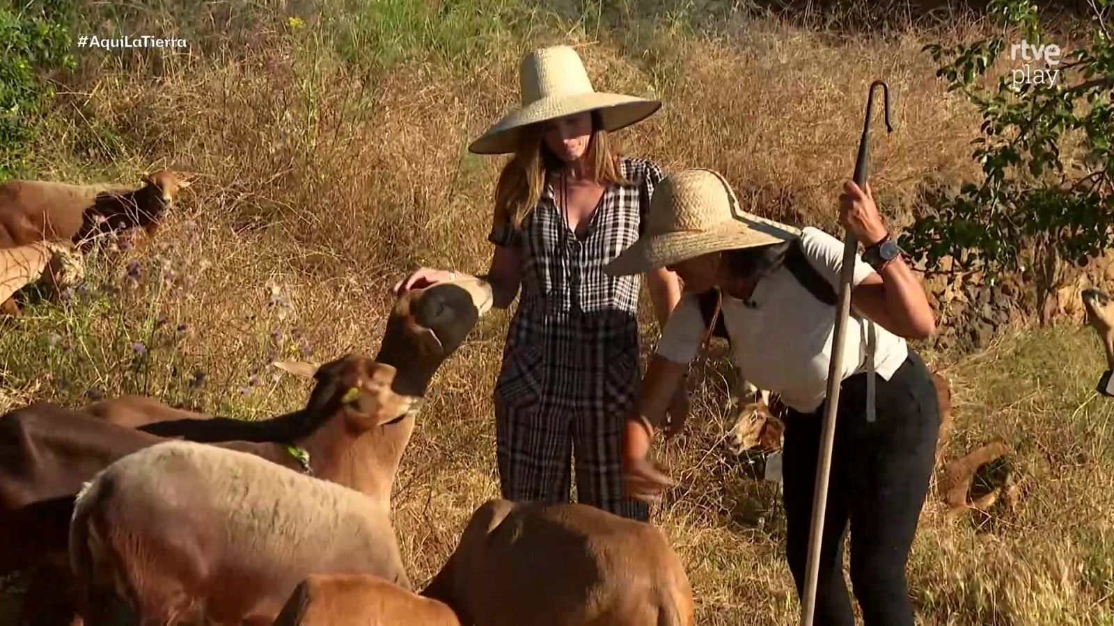 Aquí la Tierra - 21/08/26 - Aquí la Tierra | Ver