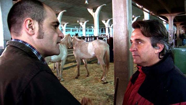 Comando Actualidad - Auge en la carne de caballo