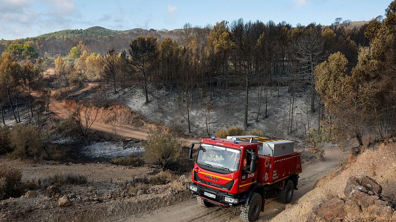 Incendio en Segorbe: evacuaciones y combate contra el fuego | Ver