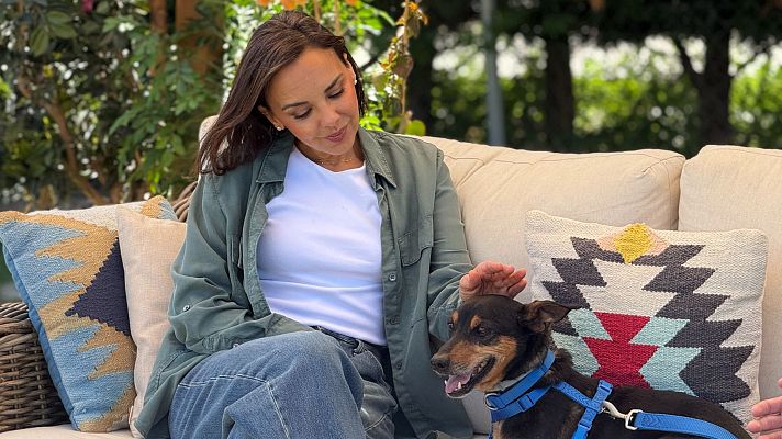 Dog House - Dog House: próximo programa, este martes 25 de agosto