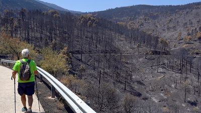 Se cumple un mes del incendio de Burgohondo, en Ávila, que arrasó 37.600 hectáreas