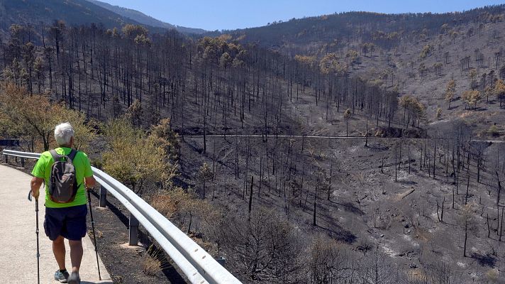 Telediario Fin de Semana - Se cumple un mes del incendio de Burgohondo, en Ávila, que arrasó 37.600 hectáreas