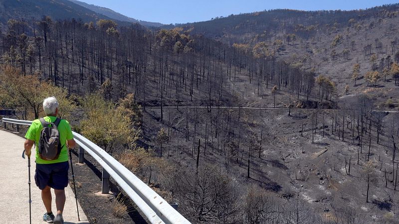 Un hombre practica senderismo por una de las zonas afectadas por el incendio de Burgohondo en el entorno de el Valle de Iruelas