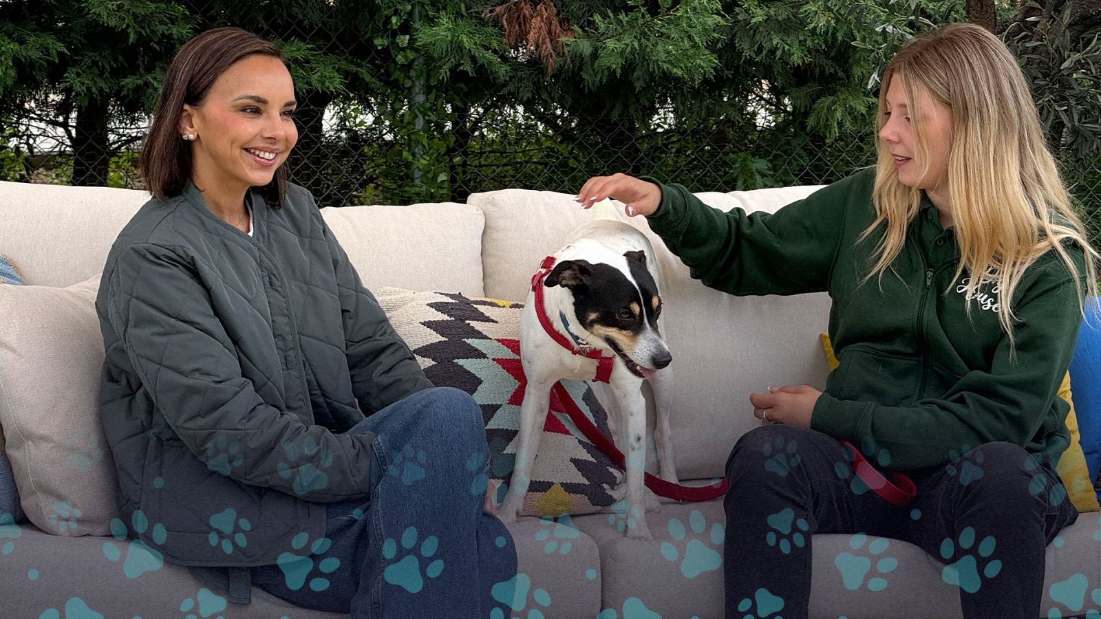 Dog House - Temporada 2 - Programa 6 | Ver ahora