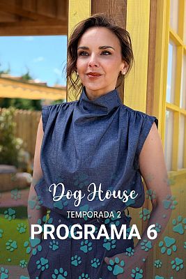 Dog House - Programa 6