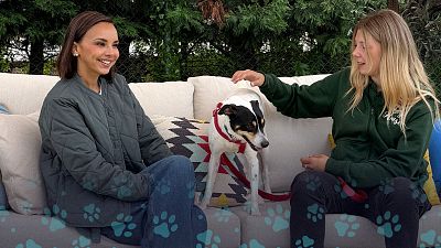 Una familia tendr� una experiencia agridulce en 'Dog House': "Me ha gru�ido. �No le caigo bien?"