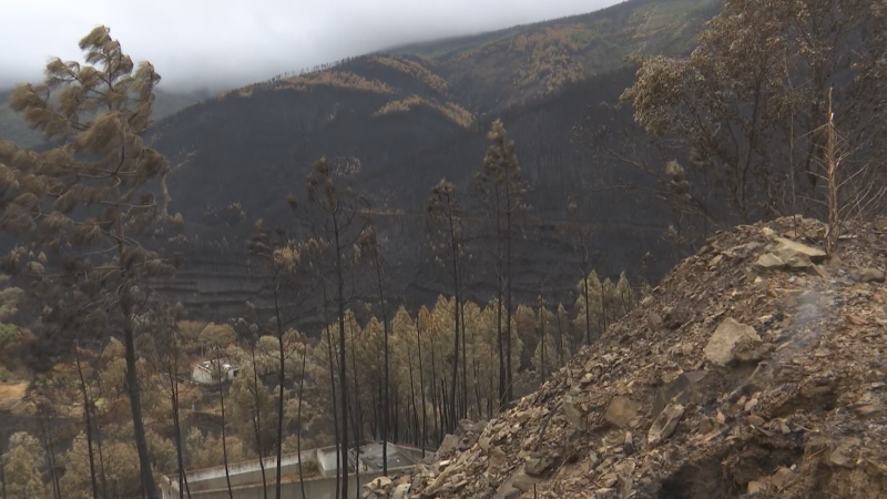 Controlado el incendio forestal en Las Hurdes - Noticias de Extremadura | Ver