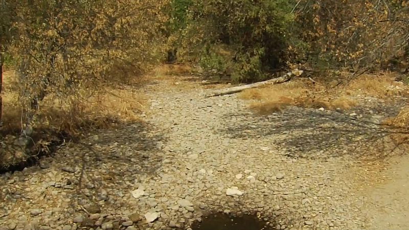 El río Moros, seco a su paso por Segovia - Noticias de Castilla y León | Ver