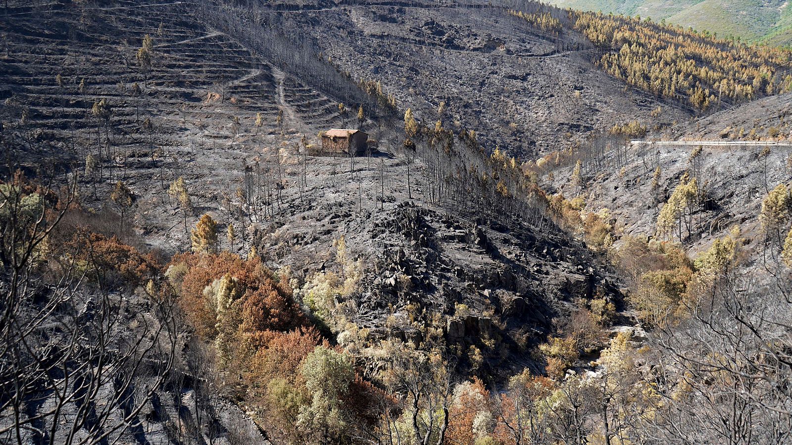 Las lluvias arrastran cenizas del incendio en Las Hurdes - Noticias de Extremadura | Ver