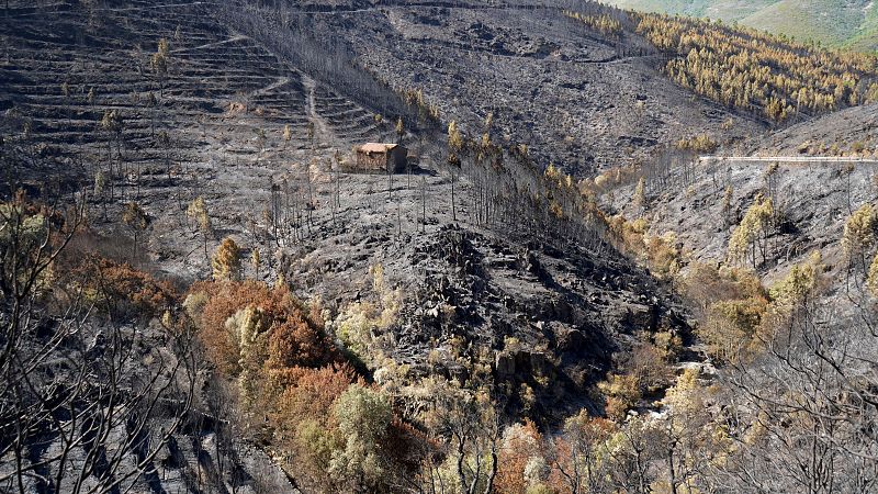 Las lluvias arrastran cenizas del incendio en Las Hurdes - Noticias de Extremadura | Ver