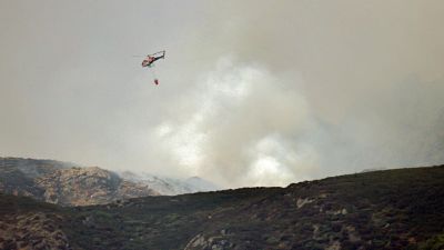 El paisaje empieza a cambiar un año después del incendio de Porto de Sanabria