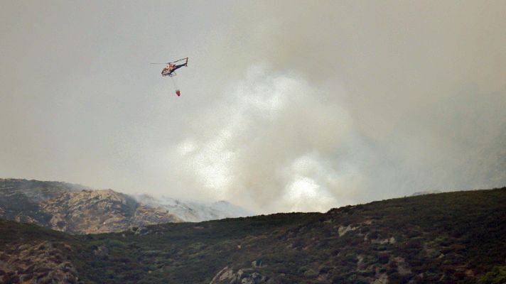 Telediario 1 - El paisaje empieza a cambiar un año después del incendio de Porto de Sanabria