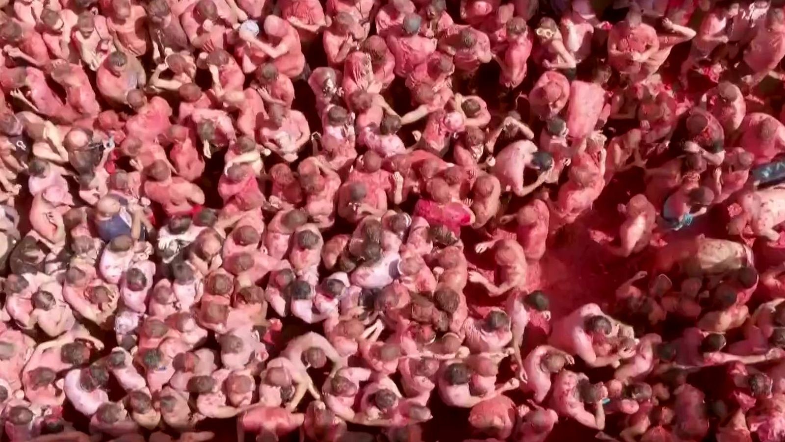 La Tomatina de Bunyol 2026 | La 2Cat - Especials en català | Veure