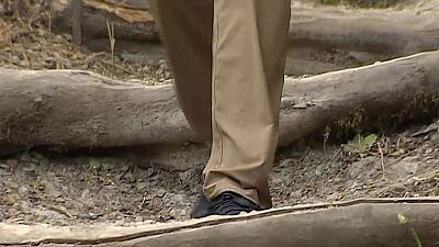 Cómo caminar correctamente en 'Comando DAG'
