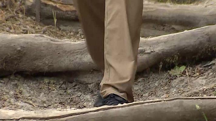 Directo al grano - Cómo caminar correctamente en 'Comando DAG'