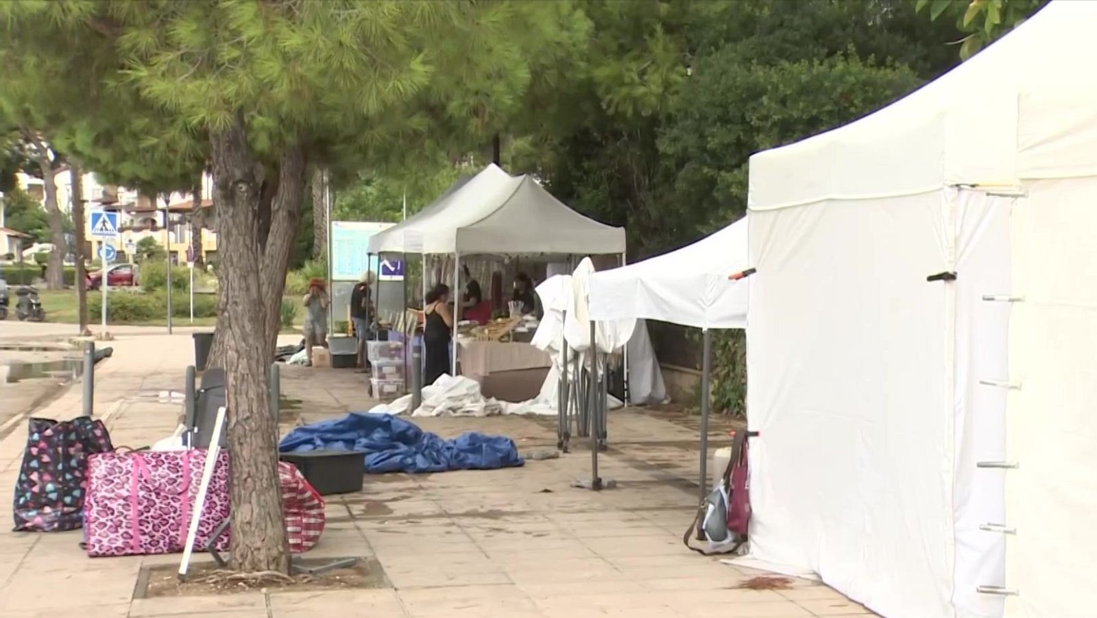 Evento al aire libre con carpas blancas, bolsas de gran tamaño y un árbol. Se aprecian productos y personas atendiendo un puesto. Al fondo, una calle con vehículos y señales de tráfico.