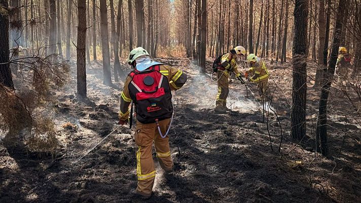 Noticias de Castilla-La Mancha - INFOCAM: Más allá del incendio