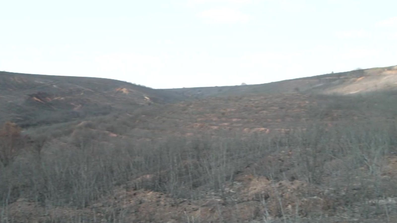 Paisaje natural devastado por un incendio, con colinas oscuras, árboles sin hojas y suelo carbonizado bajo un cielo pálido.