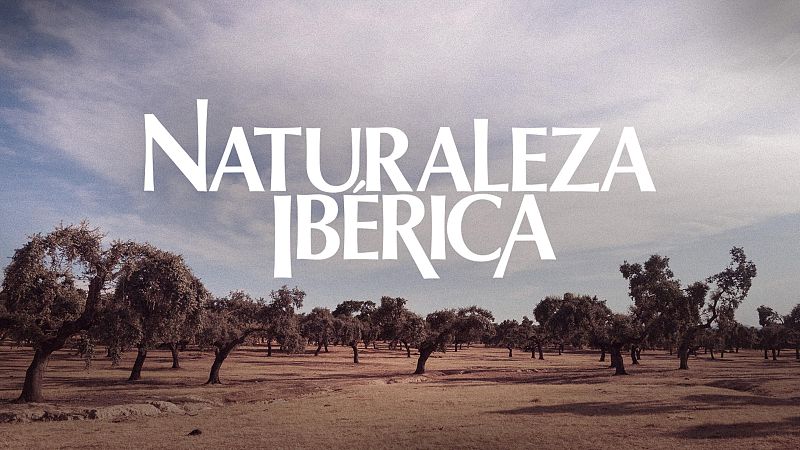 Naturaleza ib�rica - Presentaci�n - Naturaleza ib�rica | Ver