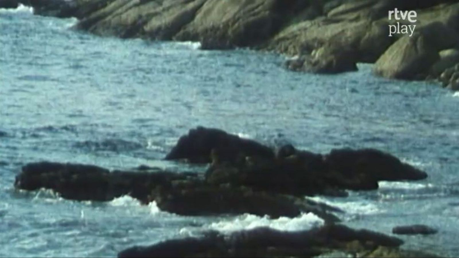 Paisaje costero con mar azul verdoso, rocas oscuras e irregulares y olas rompiendo. Logo "rtve play" en la esquina superior derecha.
