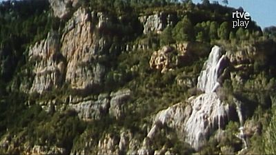 El río vivo: Alto Tajo
