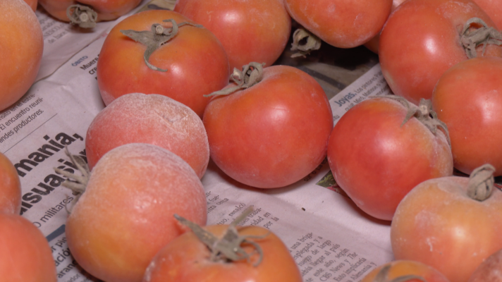 Directo al grano - Las propiedades del tomate en 'Comando DAG'