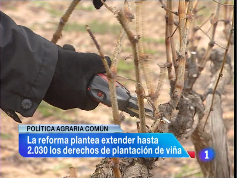 Telerioja en 2' - 14/03/13 | Ver