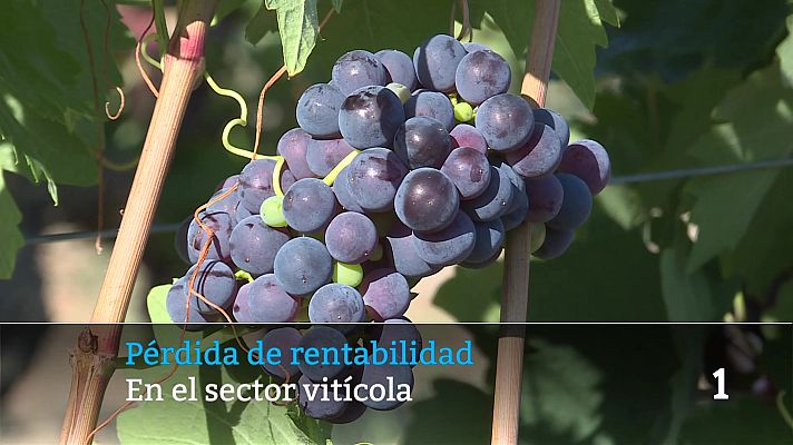 Informativo Telerioja - Telerioja en 2' - 27/08/26