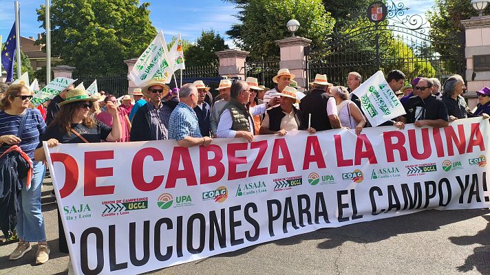 Noticias de Castilla y León - Los agricultores se movilizan en Valladolid para salvar el sector del cereal