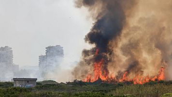 Evac�an el pueblo y los c�mpins de El Saler, Val�ncia, por un incendio forestal