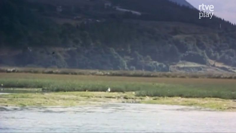 Paisaje de Urdaibai con estuario, marisma verde y monta�as boscosas. Aves acu�ticas visibles sobre la vegetaci�n. Logo de RTVE Play en la esquina superior derecha.