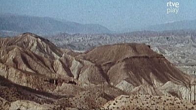 La lucha por la supervivencia: desierto de Almería