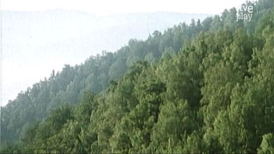 24 horas en el bosque: Muniellos (I)