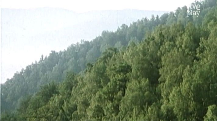 Naturaleza ibérica - 24 horas en el bosque: Muniellos (I)