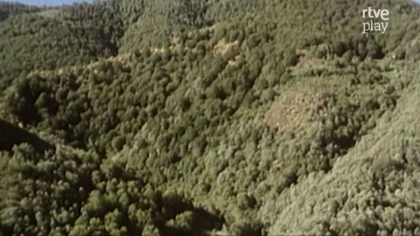 Paisaje natural de colinas y bosques frondosos con el logo de rtve play en la esquina superior derecha.