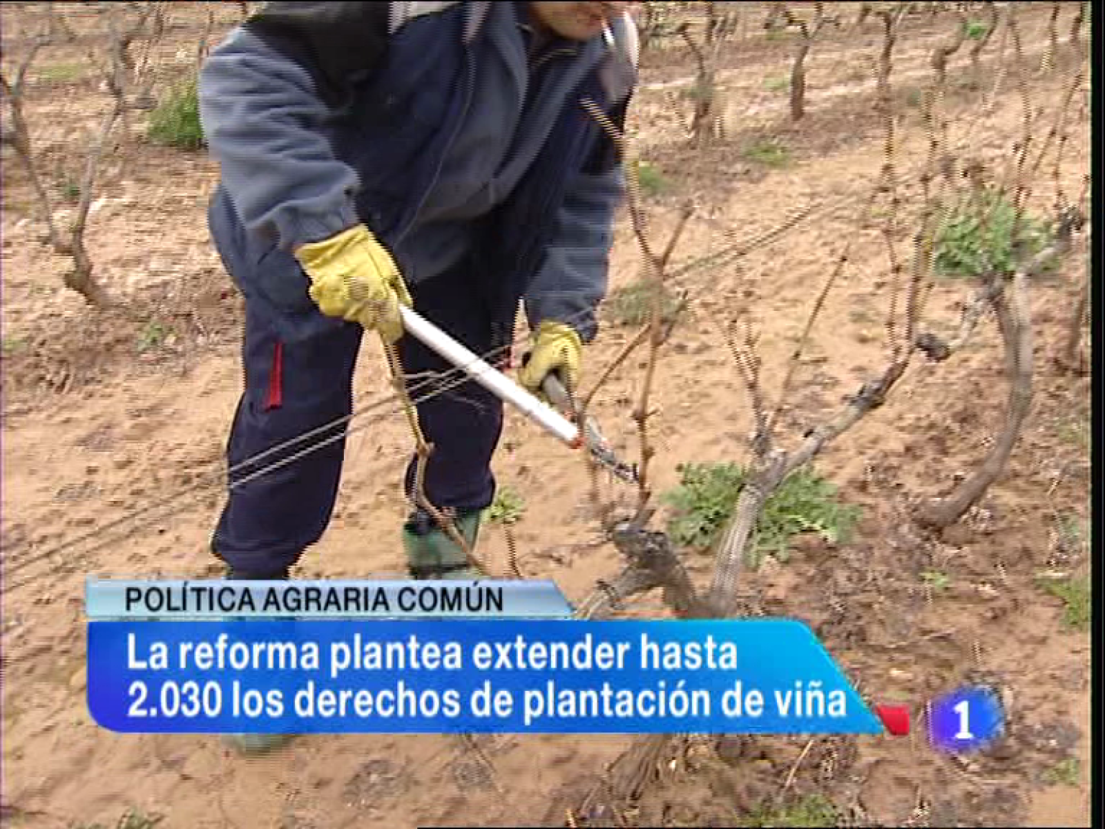 Informativo Telerioja 2 - 14/03/13 | Ver