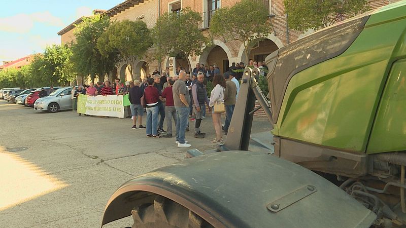 Los viticultores de Rueda protestan por "precios abusivos" - Noticias de Castilla y León | Ver