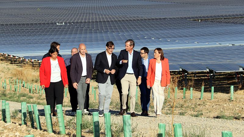 Carlos Mazón, Joan Ribó, Ximo Puig y Pilar Bernabé visitan una planta solar, rodeados de jóvenes plantaciones y un cielo despejado.