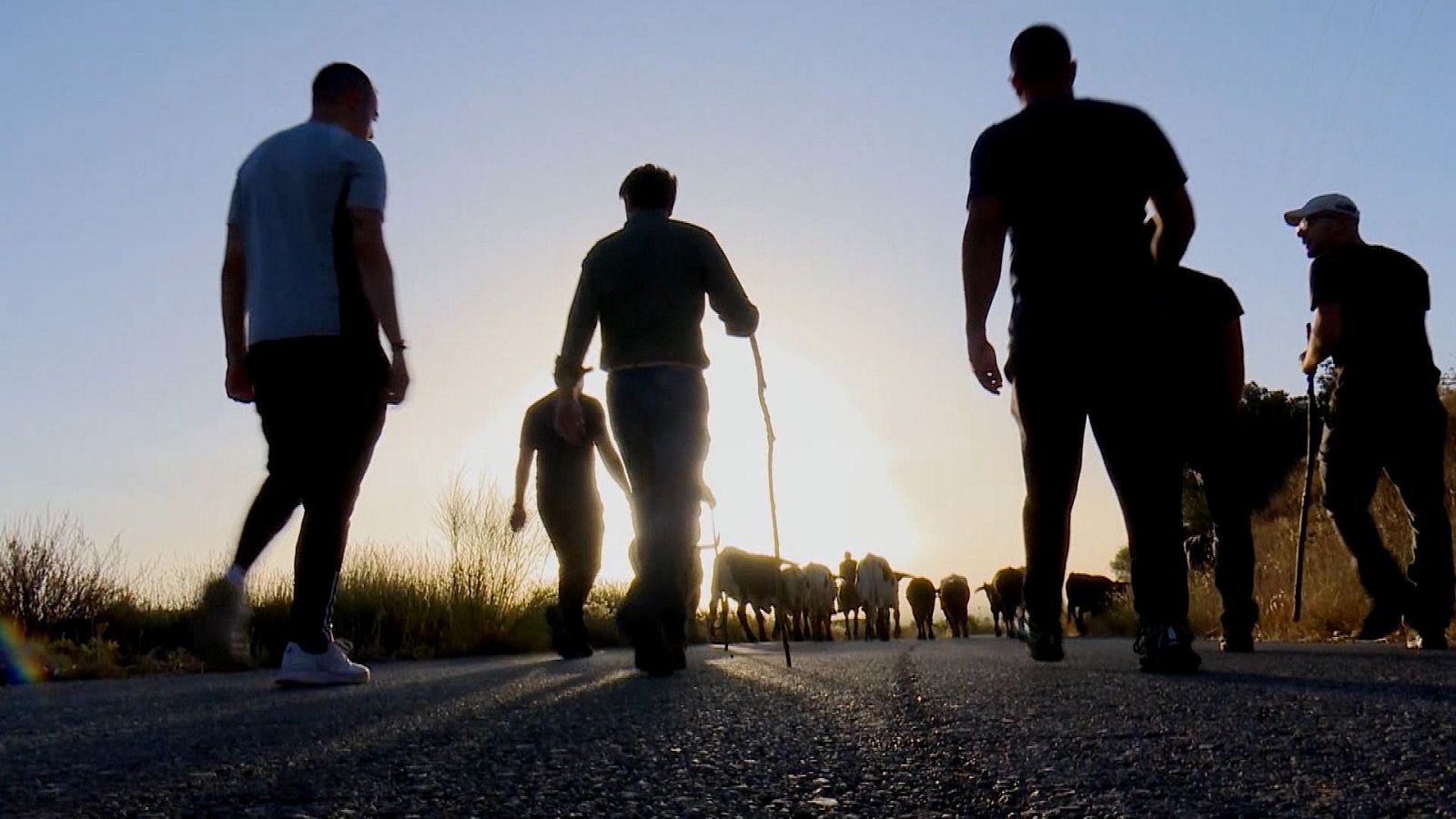 Siluetas de personas y ganado avanzan por un camino rural al amanecer/atardecer, con un pastor portando un bastón. La luz del sol crea un ambiente sereno y de movimiento pausado.