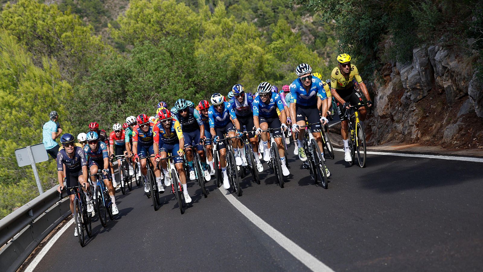 Ciclistas profesionales, algunos del Movistar y uno con maillot amarillo, compiten en una subida montañosa. La imagen muestra la intensidad de la carrera en un entorno natural.