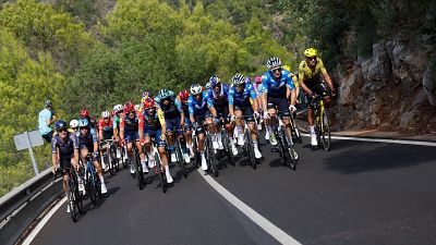 Ciclistas profesionales, algunos del Movistar y uno con maillot amarillo, compiten en una subida monta�osa. La imagen muestra la intensidad de la carrera en un entorno natural.